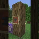 【Minecraft JE】額縁を薄ガラスで透明化するコマンド #shorts