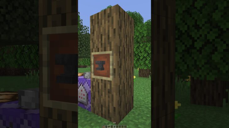 【Minecraft JE】額縁を薄ガラスで透明化するコマンド #shorts