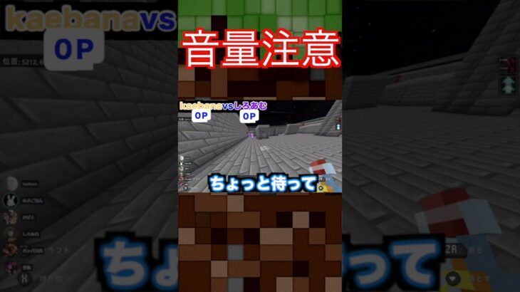 【Minecraft】コマンドであそぼ【音量注意】 #shorts