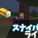 【Minecraft】マイクラコマンド紹介！スナイパーライフルリメイク版!!!!!!超簡単～BE～
