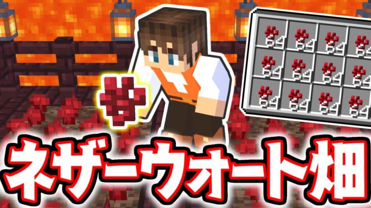 マグマでおしゃれ畑に 地下でネザーウォートを栽培しよう マイクラ実況part3 マインクラフト Minecraft Summary マイクラ動画