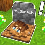 お墓に入っちゃいました【マイクラ】#Shorts