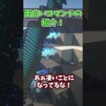 見てるだけで気持ちいいコマンドの紹介【コマンド】【マイクラ】 #Shorts