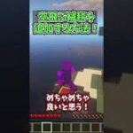 空飛ぶ魔法の絨毯を追加するデータパックがすごい【データパック】【マイクラ】 #Shorts