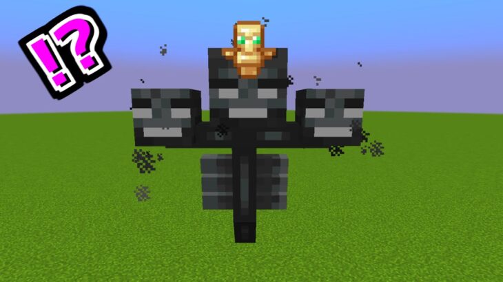 マイクラ検証 不死のトーテムをウィザーに持たせるとどうなるの ゆっくり実況 マインクラフト Shorts Minecraft Summary マイクラ動画