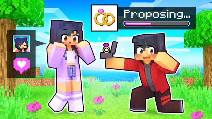 Using The PROPOSAL MOD In Minecraft!