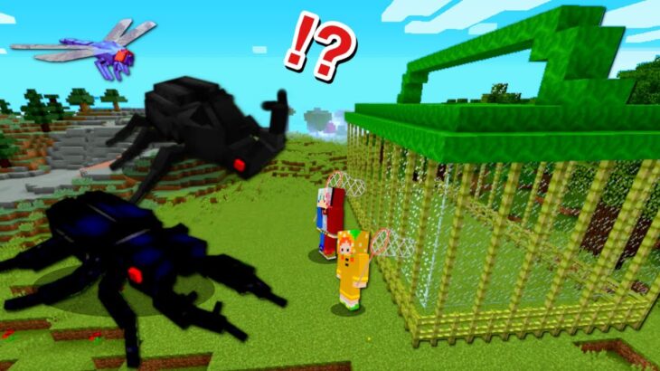 超巨大な虫を捕まえろ マイクラで虫用トラップを仕掛けて大量ゲット 透明化する危険な昆虫も 虫だらけの世界で虫捕り大会 まいくら Minecraft ぽっぴんず Minecraft Summary マイクラ動画