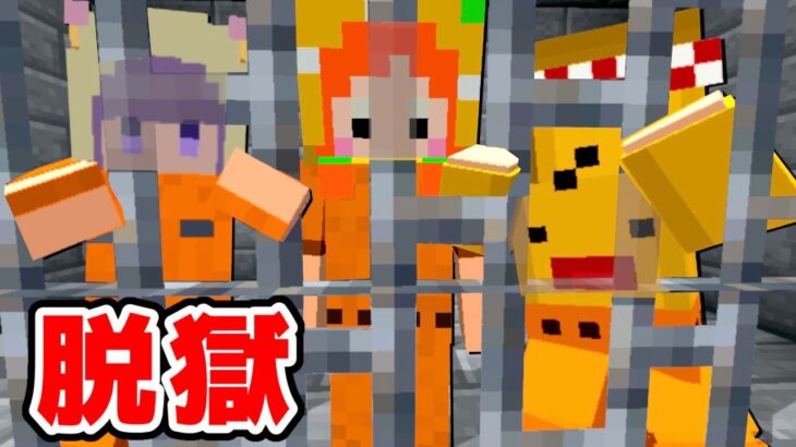 【捕まると死ぬ…😱】マイクラでセキュリティだらけの刑務所から脱獄だ‼️ 檻を爆破して大量の囚人ゾンビに襲われる😨 牢屋に隠された鍵を探して脱出だ★【まいくら minecraft】ぽっぴんず