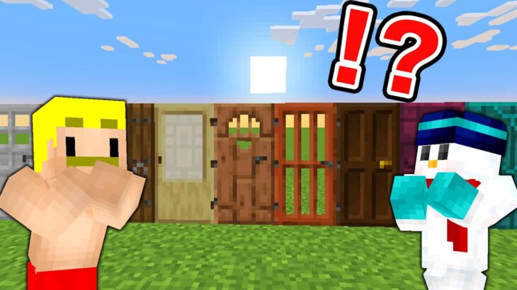 【マイクラ】どのドアが一番早く壊れるか知ってる？#shorts