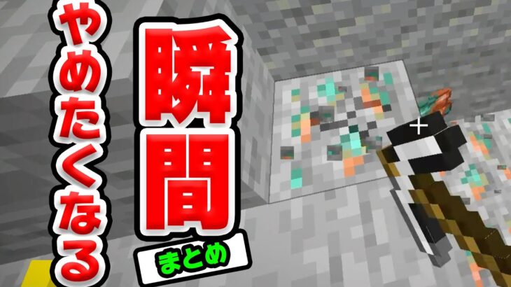 マイクラやめたくなる瞬間９#shorts【マインクラフト】