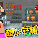 【マイクラ】こんな鉱石見たことない！アイテムがそのまま鉱石になった世界がヤバすぎる！！【マインクラフト】