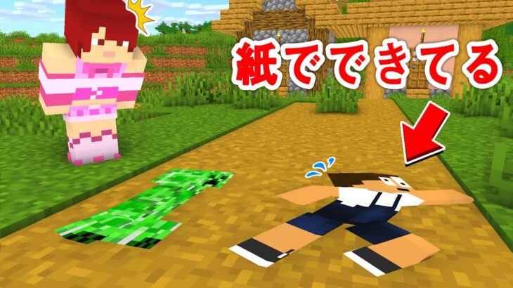 マイクラのキャラ全てが紙でできてる世界で本気でクリアしてみた！？【まいくら・マインクラフト】