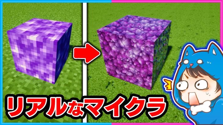 すべてがリアルすぎるマインクラフトをやってみた結果！？✨【マイクラ/まいくら】