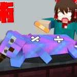 【マイクラ】ネコを手術して助けるマップ！？【ゆっくり実況】【配布マップ】