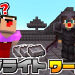 【マイクラ】９９．９９％がネザライトの世界でエンダードラゴンは討伐できるのか！？【マインクラフト】