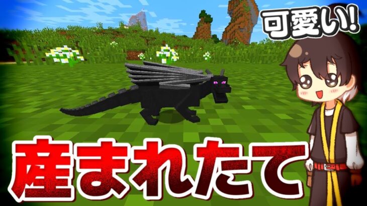 【マインクラフト】エンドラの赤ちゃんを育成してエンダードラゴンを倒しに行く【ゆっくり実況】