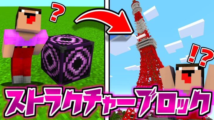 コマンドでしか出せない最強ブロックを使って建築バトル！！【マイクラ】【マインクラフト】