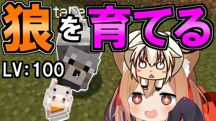 【マイクラ】可愛すぎる狼を育てられる世界でサバイバル！【ゆっくり実況】