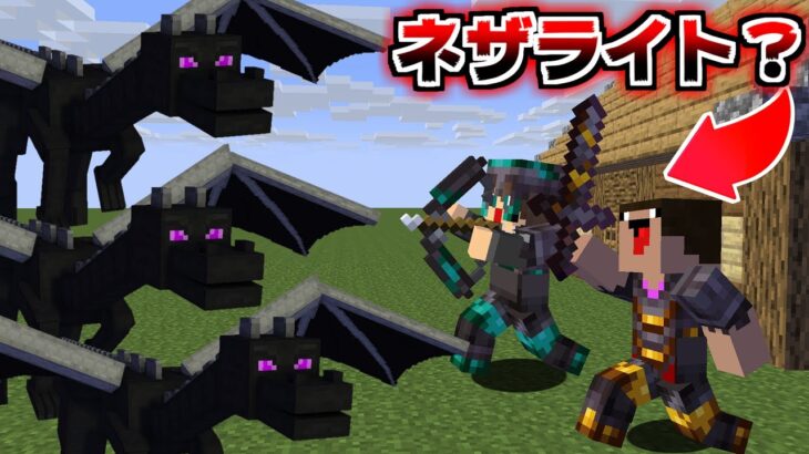 特別なネザライト装備 vs エンダードラゴン！どっちが勝つ？？【マイクラ】【マインクラフト】