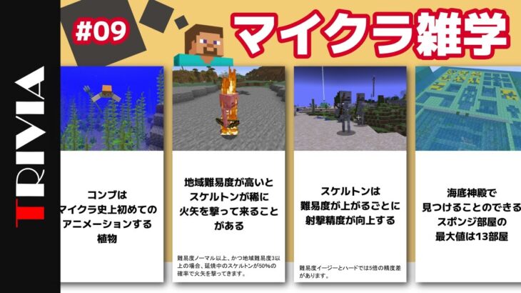 上級者でも意外と知らないマイクラ雑学　#09【雑学】