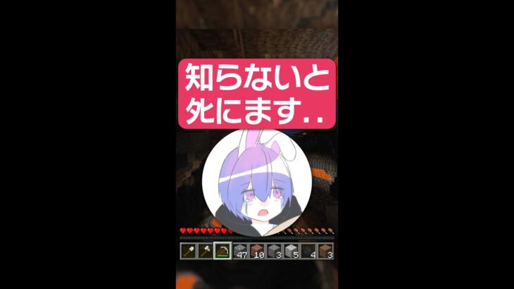 【マイクラ】1.18になる前に絶対に見てください。【豆知識 解説 裏技】