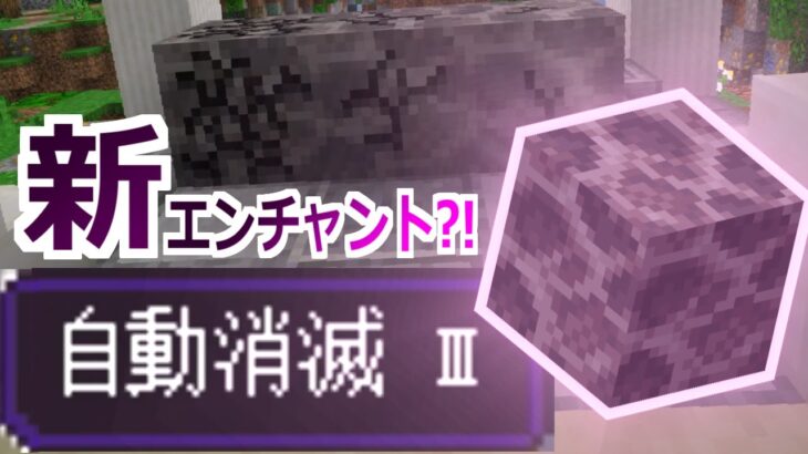 【コマンド】設置して10秒経つと消える！新しいエンチャントをコマンドで勝手に作ってみた【マイクラBE】