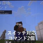 【マイクラ】コマンド2個で守護神召喚⁉【マインクラフト】【スイッチ】