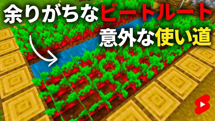 マイクラ 余りがちなビートルートの意外な使い道5選 Shorts Minecraft Summary マイクラ動画