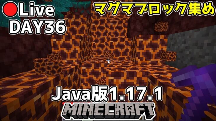 [マイクラ生放送]Java版1.17.1、36日目はマグマブロック集め