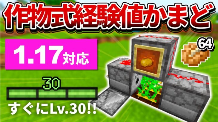 【マイクラ統合版】食料も増える！すぐにLv.30に到達する経験値かまどの作り方【PE/PS4/Switch/Xbox/Win10】ver1.17