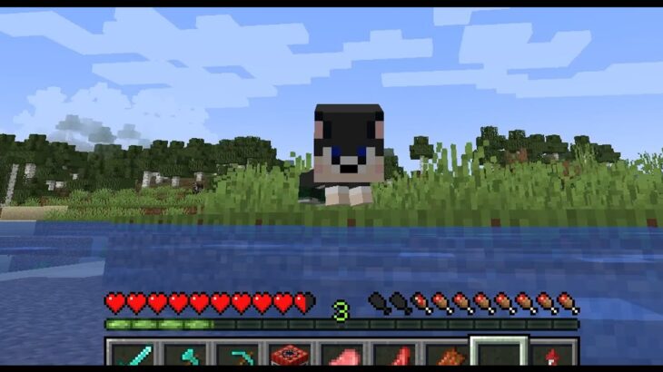 マインクラフト 犬のスキンをmodで2頭身に変形 Minecraft Minecraft Summary マイクラ動画