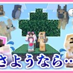 悲しいお知らせがあります…😿【スカイブロック】【マイクラ / マインクラフト / Minecraft】【たまちゃん】