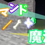 【Minecraft】マイクラコマンド紹介！簡単に出来るコマンド四つ！！コピペあり！～BE～