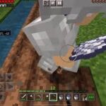 【Minecraft】【マイクラ】【ルリクラ】家の周りに畑や釣り堀を作る！Part11