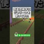 砂利で圧死させるコマンド「ジャリーン」【Minecraft】#shorts