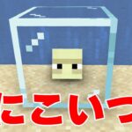 動物園に奇妙なモブがキターｗｗｗPART317【マイクラ】