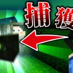 【マインクラフト😜】捕獲したモブに変身できるPVP！【マイクラ実況】