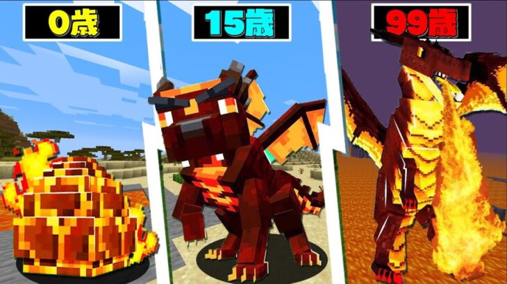 【マイクラ】歳を取ると最強ドラゴンに進化していく世界でサバイバルPVPしたら最強すぎたｗ
