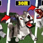 【マイクラ】歳を取ると最強オオカミに進化していく世界でサバイバルPVPしたら最強すぎたｗ