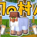 ついに幻の羊飼いを発見しました!!職業ブロックコンプ達成!!マイクラ実況Part413【マインクラフト】