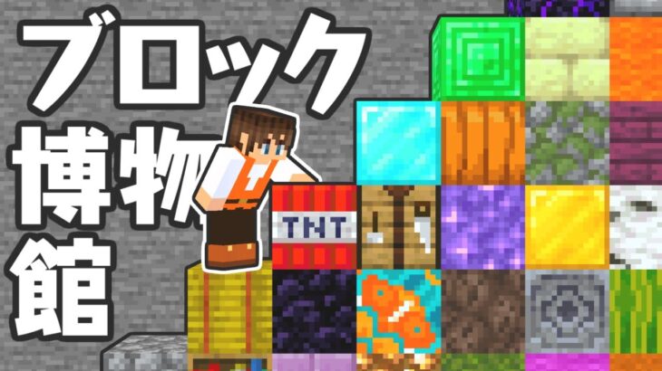 集めたブロックを並べていこう!!完成まではどれが足りない!?マイクラ実況Part415【マインクラフト】