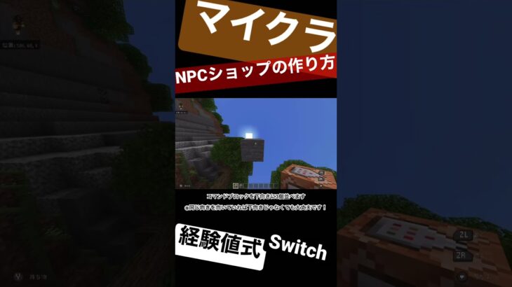 マインクラフト Rpgに使える Npcショップの作り方 経験値式 Switch コマンド 統合版 Minecraft Summary マイクラ動画