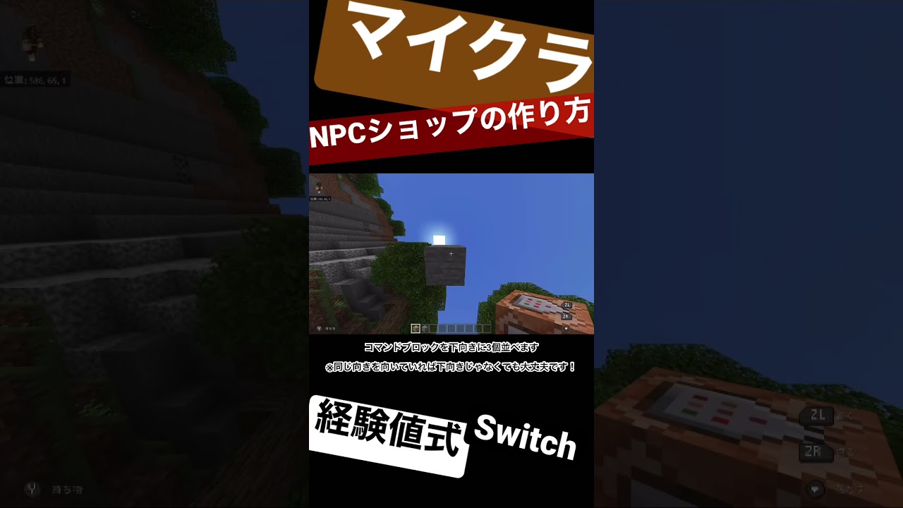 マインクラフト Rpgに使える Npcショップの作り方 経験値式 Switch コマンド 統合版 Minecraft Summary マイクラ動画