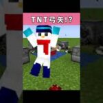 【マイクラ】TNTに100個の矢を刺してみたらやばすぎたwww#shorts