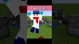 【マイクラ】TNTに100個の矢を刺してみたらやばすぎたwww#shorts