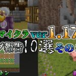 【統合版マイクラ】Ver1.17.41 マイクラのバグ10選～その2～ 統合版マインクラフト・バグ報告会【Switch/Win10/PE/PS4/Xbox】