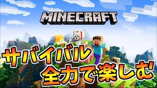 【マイクラ】初めてサバイバルをやり込む　探検と素材集めと建築と