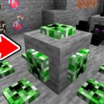 【マイクラ】モブやアイテムが鉱石になった世界がヤバすぎた【マインクラフト】