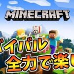 【マイクラ】初めてサバイバルをやり込む　探検と素材集めと建築と