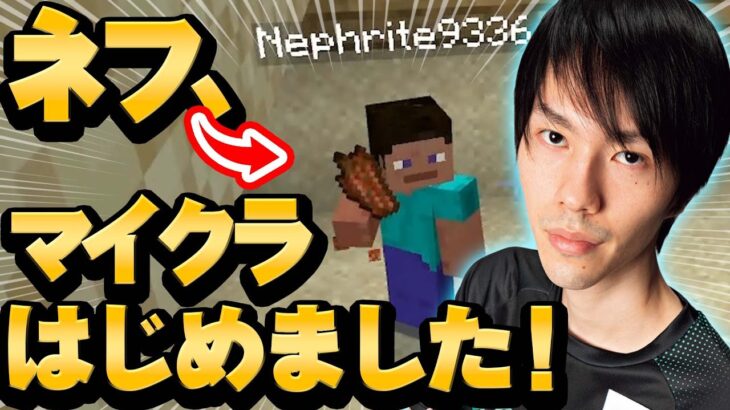 ネフライトさん、マイクラでガチンコサバイバル生活～エンダードラゴンへの道①～